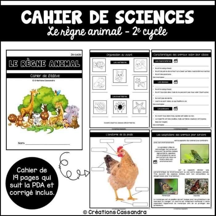 Cahier de science - Le règne animal – Image 1