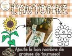 Le tournesol - Ajoute le bon nombre de graines