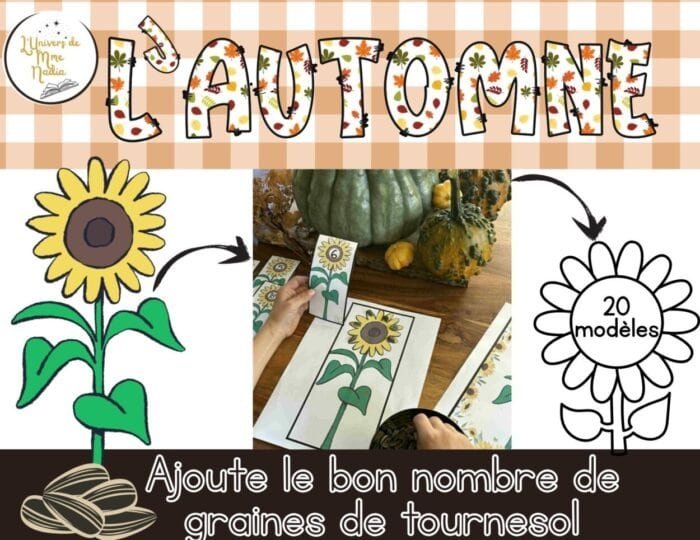 Le tournesol - Ajoute le bon nombre de graines – Image 1
