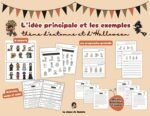 Activités sur l'idée principale et les exemples