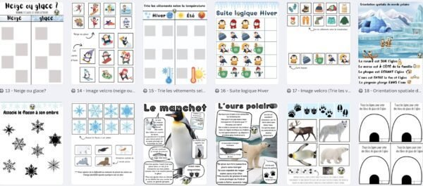 Hiver/ Animaux polaires Trousse d'apprentissage – Image 3