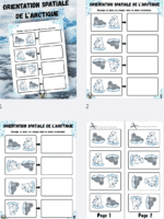 Orientation spatiale Animaux Polaires – Image 2