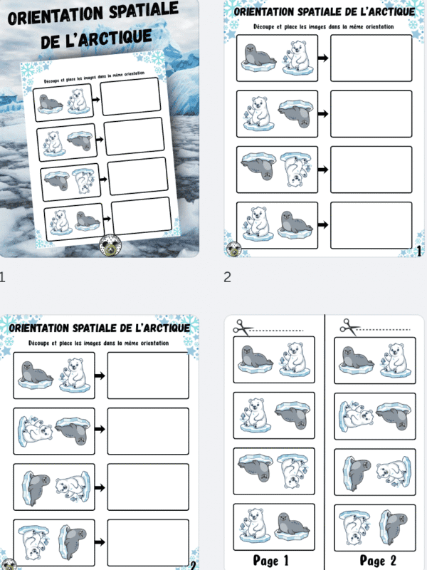 Orientation spatiale Animaux Polaires – Image 2