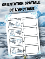 Orientation spatiale Animaux Polaires