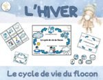 Le cycle de vie du flocon