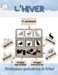Plateau de tri-Les animaux polaires
