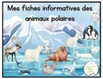 Mes fiches informatives - Les animaux polaires