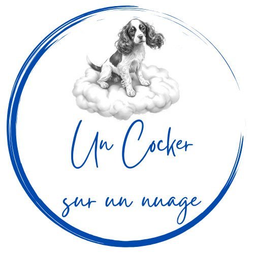 Un cocker sur un nuage